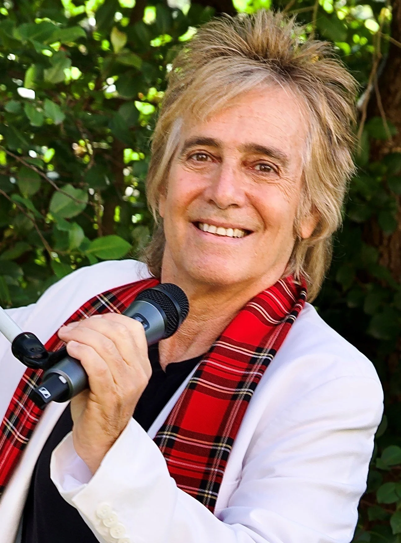 FREE Sunset Concert: The Best of Rod Stewart — Old School Square